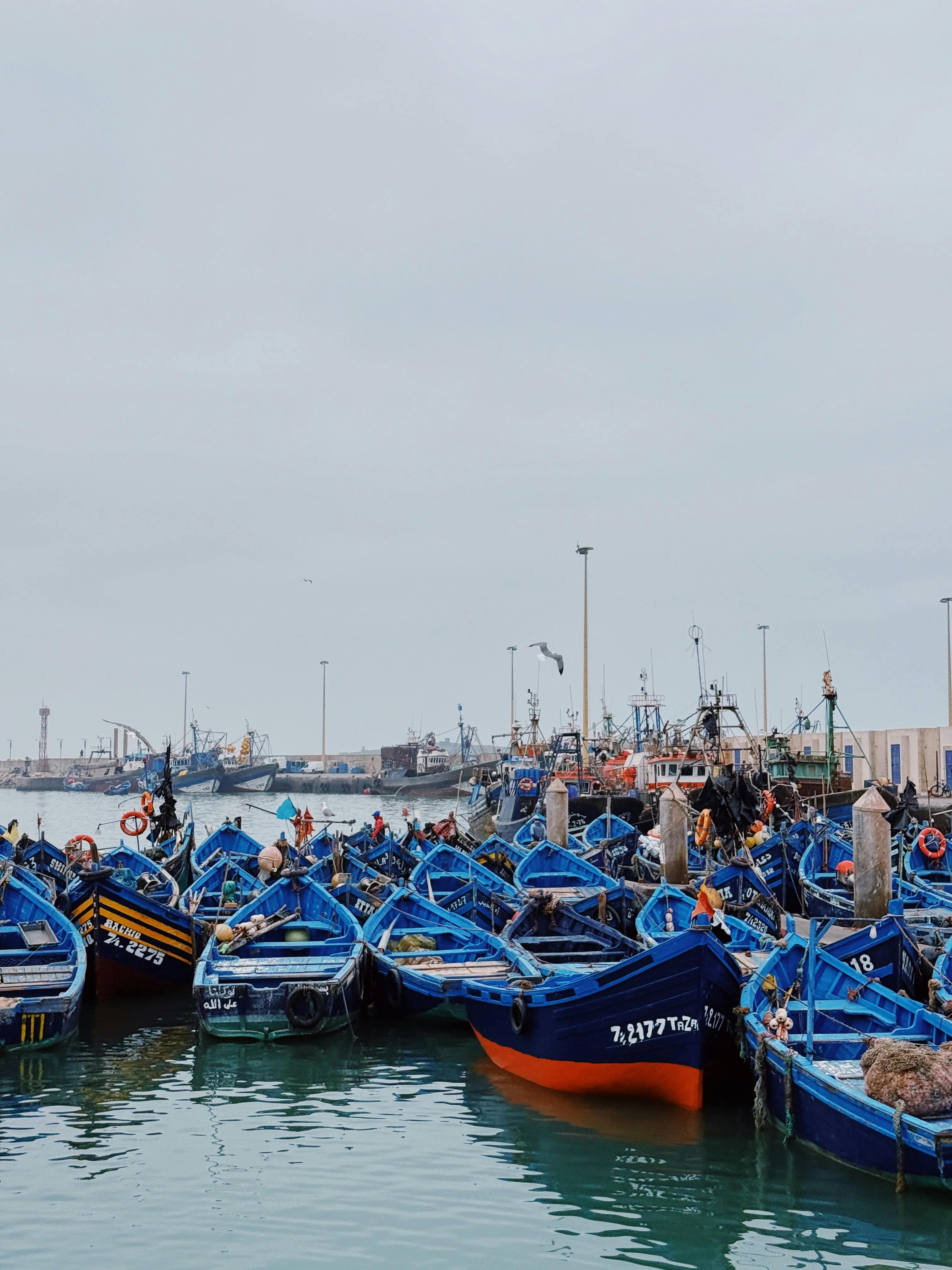 Day Trip to Essaouira from Marrakech: Explore Morocco’s Stunning Coastal Gem – 2