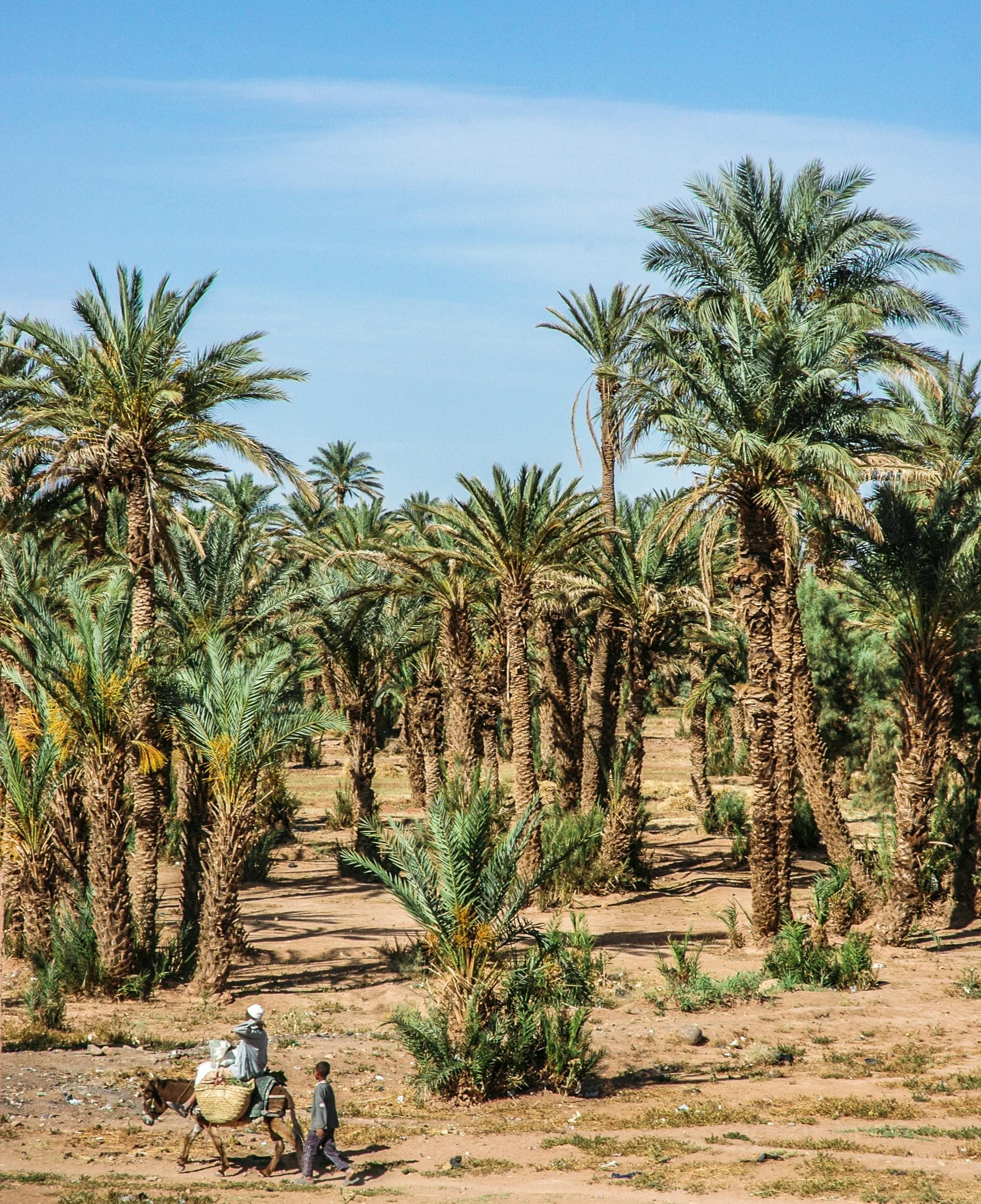 2-Day Desert Tour from Marrakech to Zagora – 3