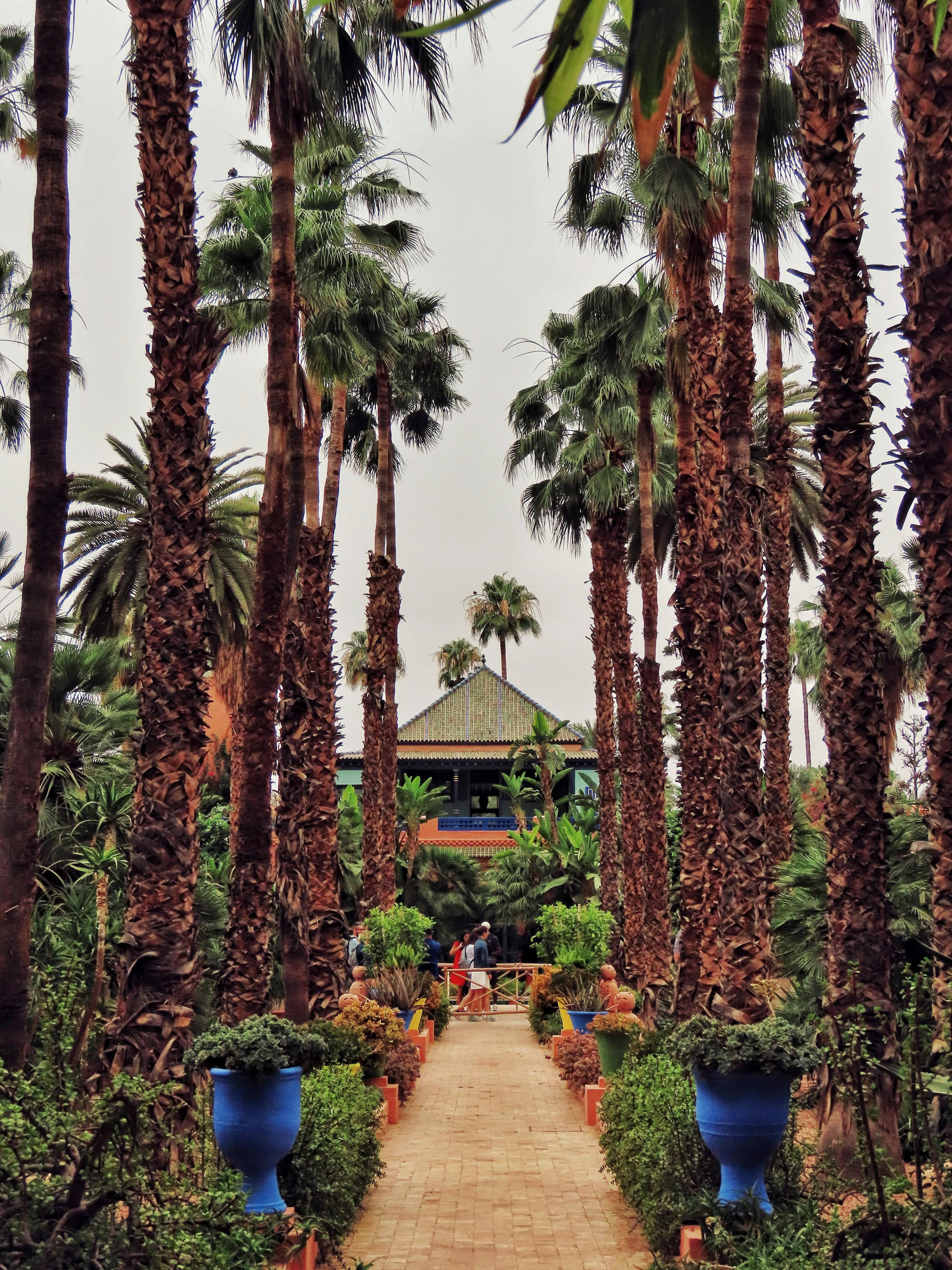 Excursión de Día Completo por la Ciudad de Marrakech – 2
