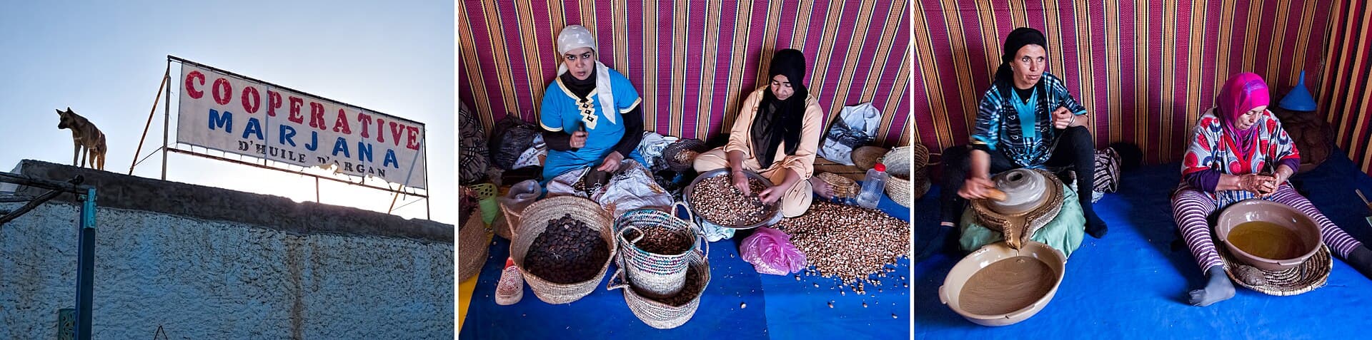Argan oil cooperative